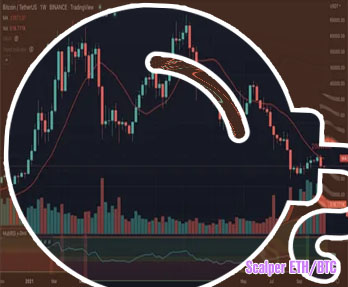 Btc average annual return
