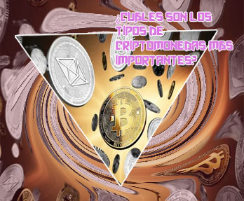 Cuáles son las criptomonedas